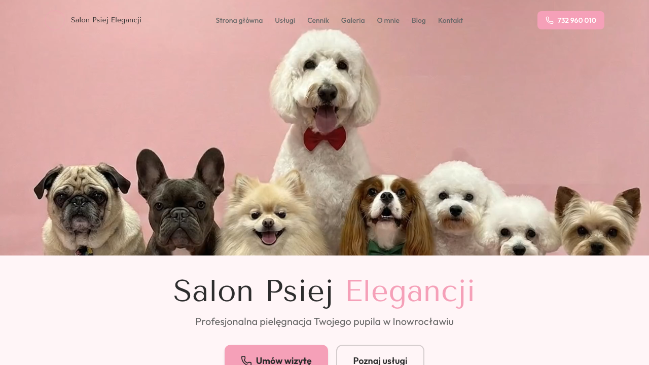 Salon Psiej Elegancji, strona internetowa